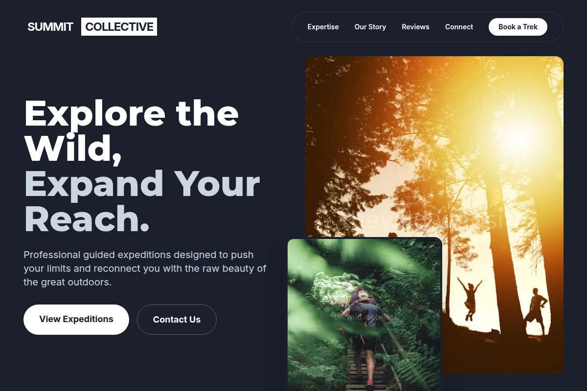 TheWild.Website